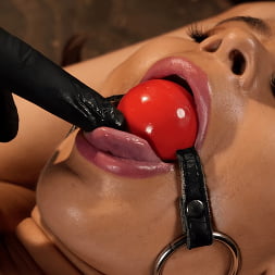 Nicole Aria is Back For More
