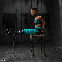Defiled - Nikki Darling