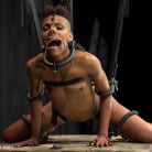 Nikki Darling in 'Defiled - Nikki Darling'