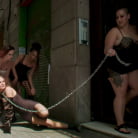 Nikki Darling in 'Fancy Party Interrupted To Tame The Feral Princess of Filth!'