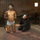 Nikki Darling in 'Using Clothing for Spontaneous Bondage and Play'