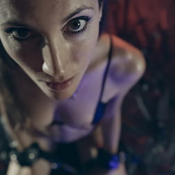 MySweetApple: Now You Will Love Me