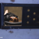 Penny Pax in 'Penny Pax: Anal Obsession'