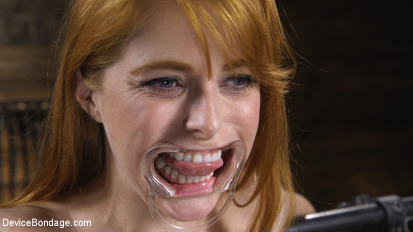 Pretty Please, Penny Pax