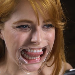 Pretty Please, Penny Pax