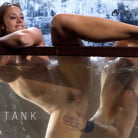 Phoenix Marie in 'Part 3: The Tank'