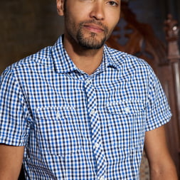 Phoenix Marie's Plaything
