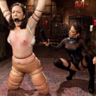 Pink in 'Felony Returns!'