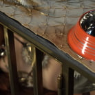 Pixi Lust in 'Metamorphosis'