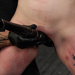 Marked For Pleasure