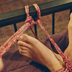 Rope Bondage for Sex