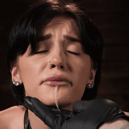 Rosalyn Sphinx: Grueling Bondage, Torment and a Sybian!