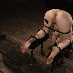Rosalyn Sphinx: Grueling Bondage, Torment and a Sybian!