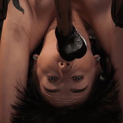 Rosalyn Sphinx: Grueling Bondage, Torment and a Sybian!