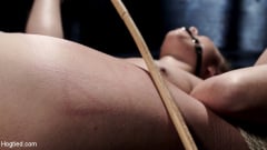 Roxanne Rae - Extreme bondage, brutal torment, and intense orgasm denial. | Picture (16)