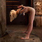 Rylie Richman in 'Hot Blonde Tied Tightly and Made to Cum'