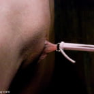 Sabrina Fox in 'PigTails'