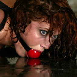 Sabrina Fox IS a fox!!