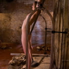 Sarah Shevon in 'The Training of Sarah Shevon, Day Two'