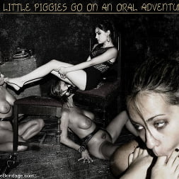 KINK Classic 2 of 20. Countdown to relaunch!