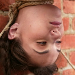 Sasha Grey Bonus Update!