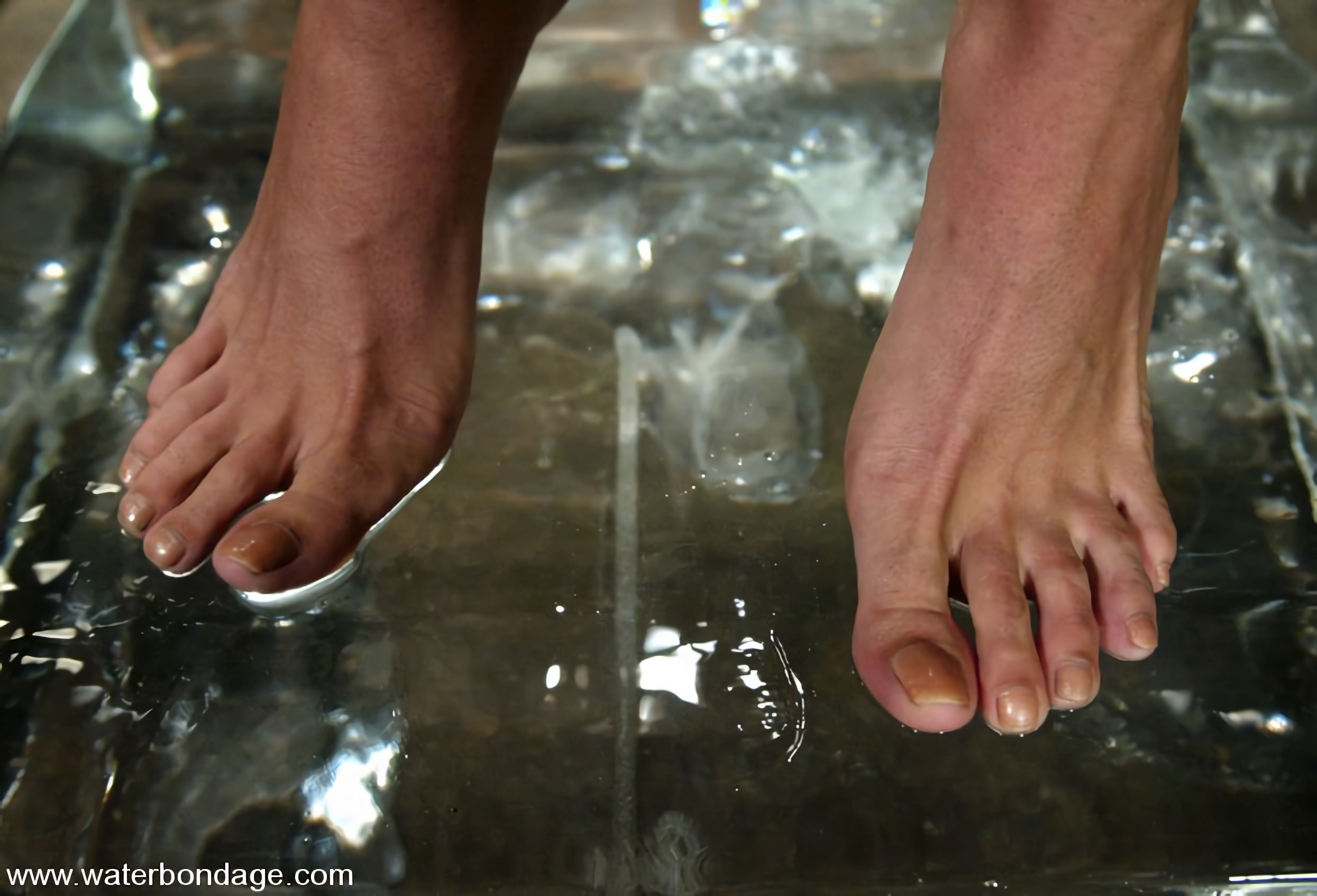 Sasha Chispas