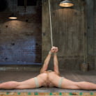 Sheena Shaw in 'Blonde fuck slut squeals and begs to cum.'