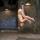 Sheena Shaw in 'Blonde fuck slut squeals and begs to cum.'