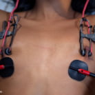 Skin Diamond in 'Skin Diamond, Back for More!'