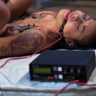 Skin Diamond in 'Skin Diamond, Back for More!'