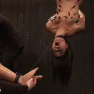 Skin Diamond in 'The ab predicament and the upside down orgasms'