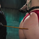 Sonia Harcourt in 'Bound and Marked'