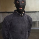 Sophia Locke in 'Virgin Anal Fuck: Sophia's Graduation Day'