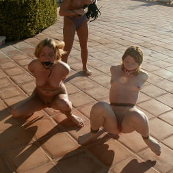 Madison Young, Jenni Lee and Star