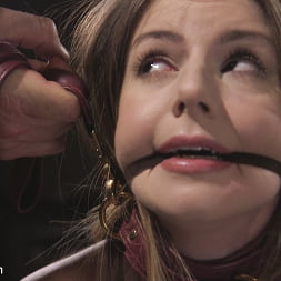 Fear Training: Stella Cox