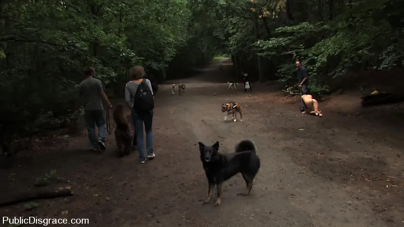 Aliz - El paseo del perro | Picture (11)