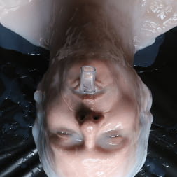Silicone Encasement: Part Two