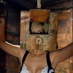 Boxed up and carted around... Tara Lynn Fox