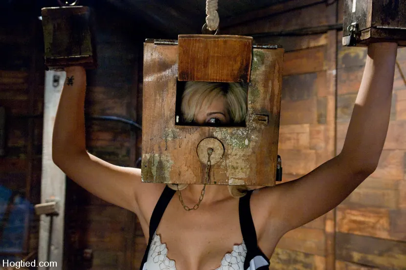 Tara Lynn Foxx - Empaquetado y transportado... Tara Lynn Fox | Picture (11)