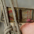 Tara Lynn Foxx in 'Tara Lynn Foxx is INSATIABLE'