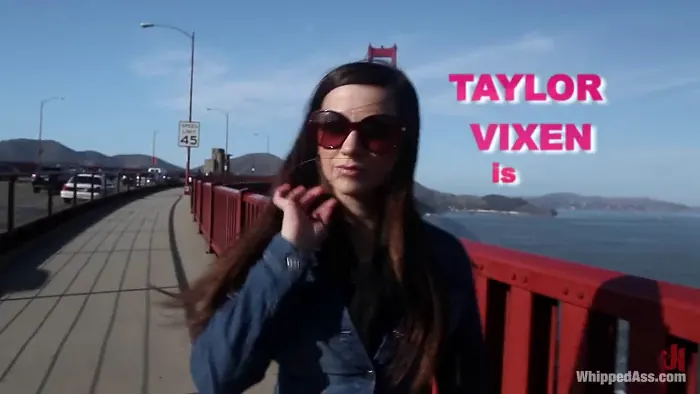 Taylor Vixen in Penthouse Pet of the Year, Taylor Vixe ...