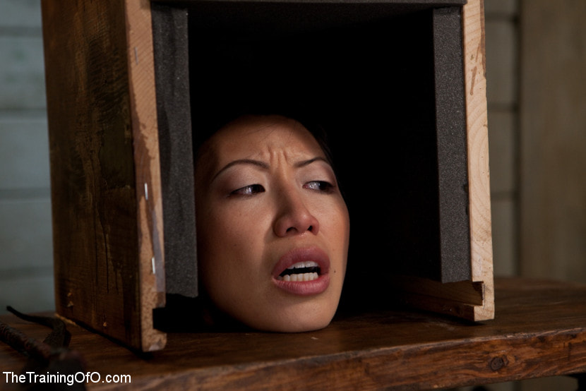 The Training of Tia Ling, Day Two