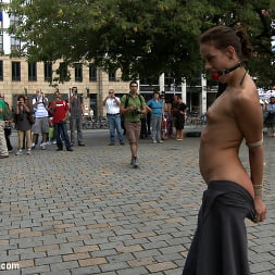 Exposed, Fucked and Humilated all in Public