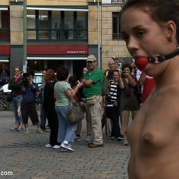 Exposed, Fucked and Humilated all in Public