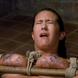 Tongue Tied and Tit Tormented Trina Michaels