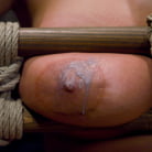 Trina Michaels in 'Tongue Tied and Tit Tormented Trina Michaels'