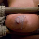 Trina Michaels in 'Tongue Tied and Tit Tormented Trina Michaels'