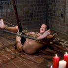 Trina Michaels in 'Tongue Tied and Tit Tormented Trina Michaels'