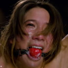 Vai in 'THE NEW COLLECTION: PART 1'