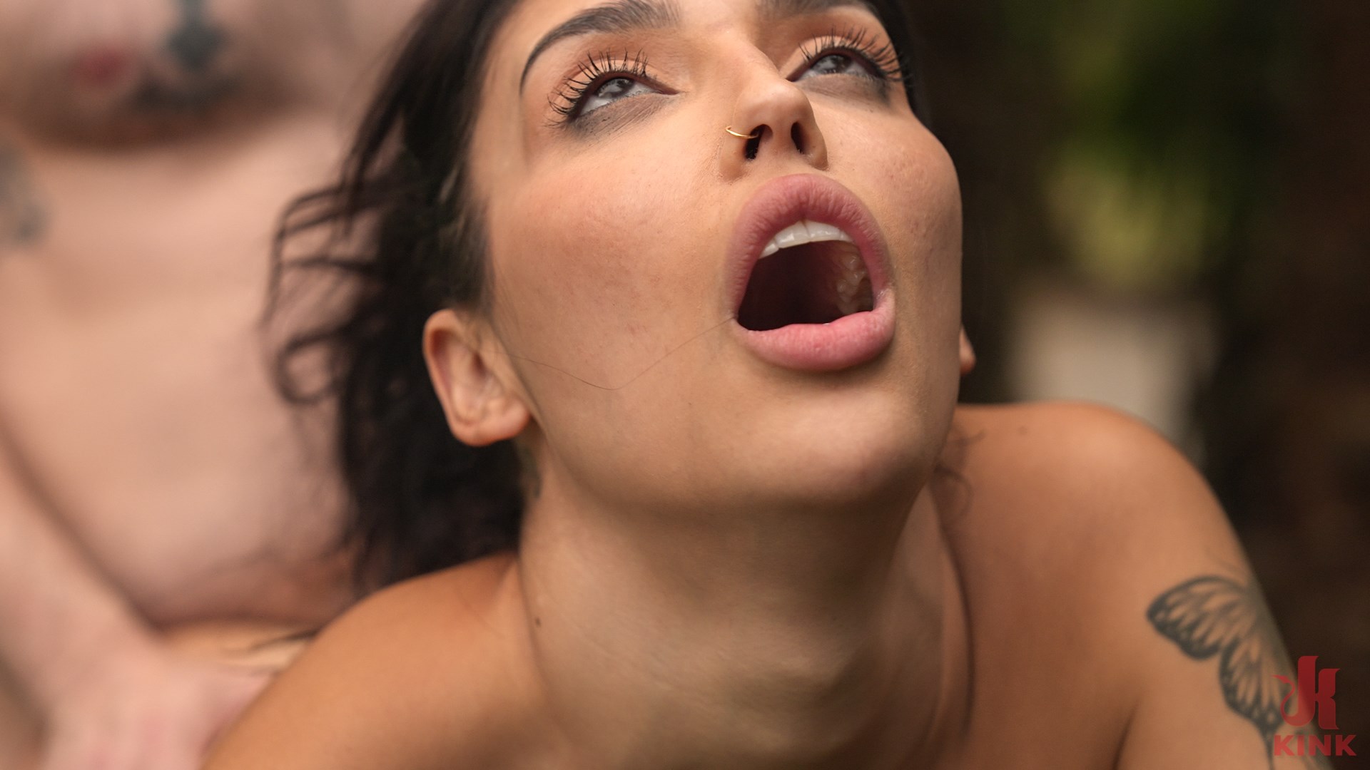 Vanessa's Anal Appeal